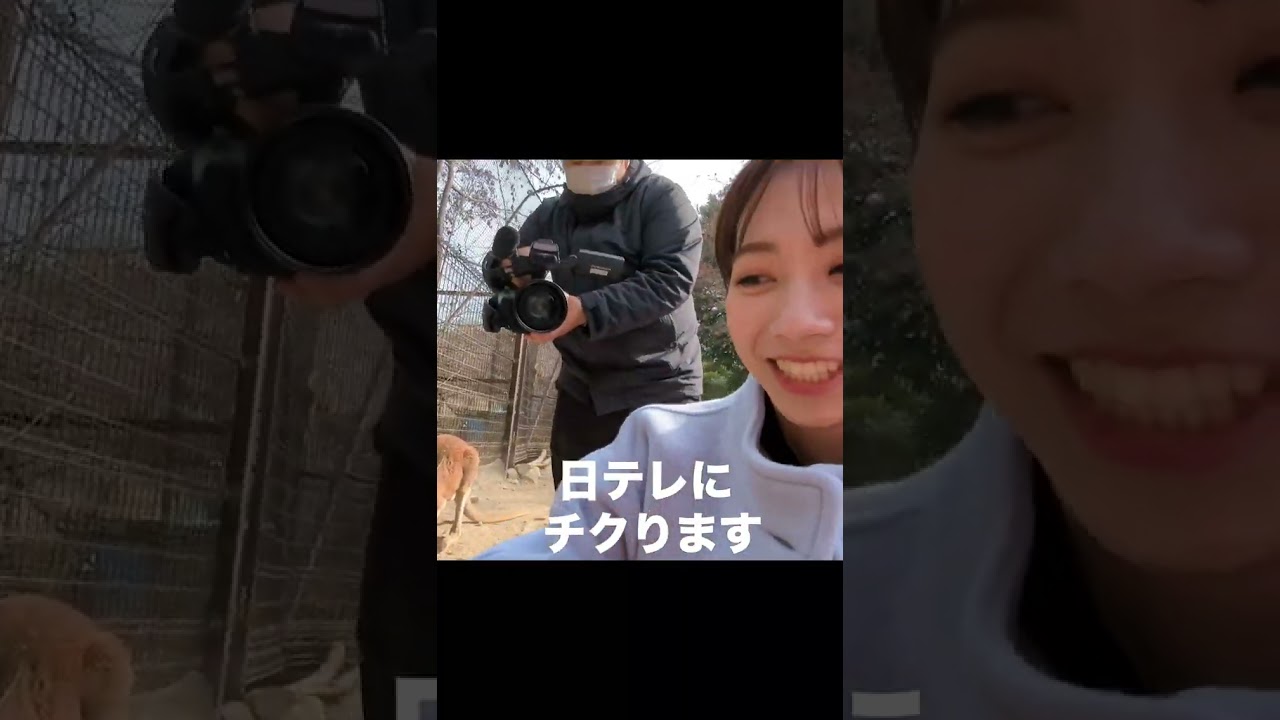動物のウンコを指さして笑う日テレアナウンサー