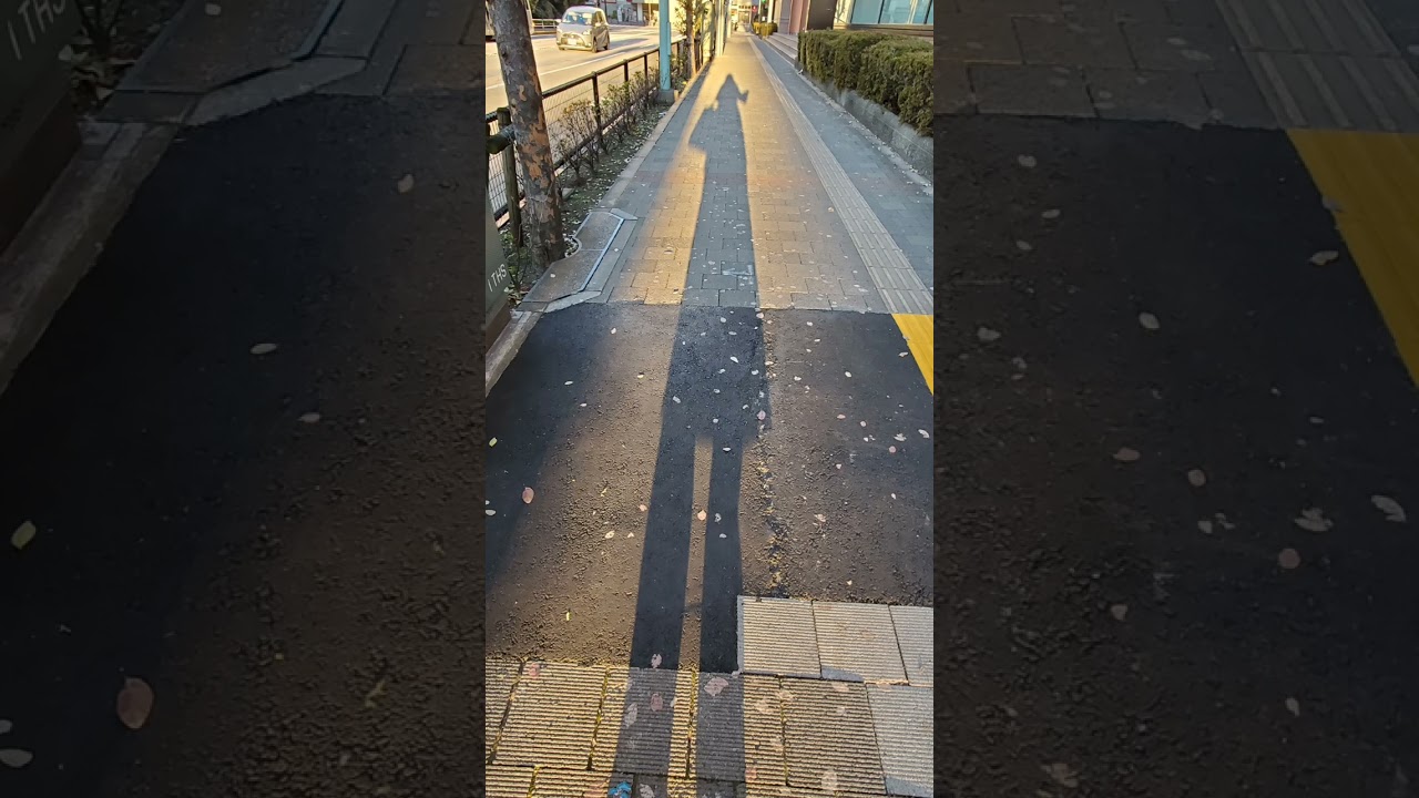 ブラタモリ『大井川』 大井川鐵道も紹介 #shorts