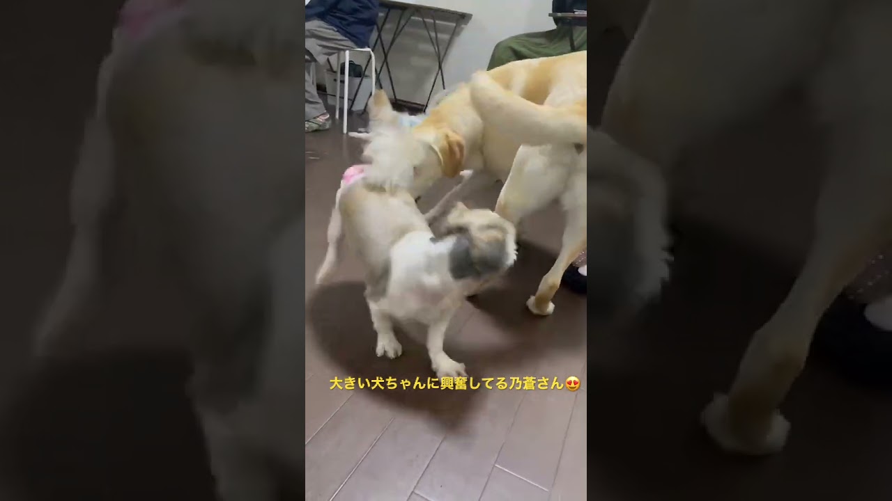 興奮する乃蒼さん😍😍