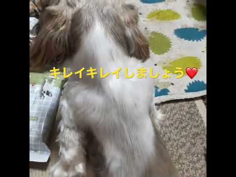 ブラシ好き🫰癖になる乃蒼さん♪😍