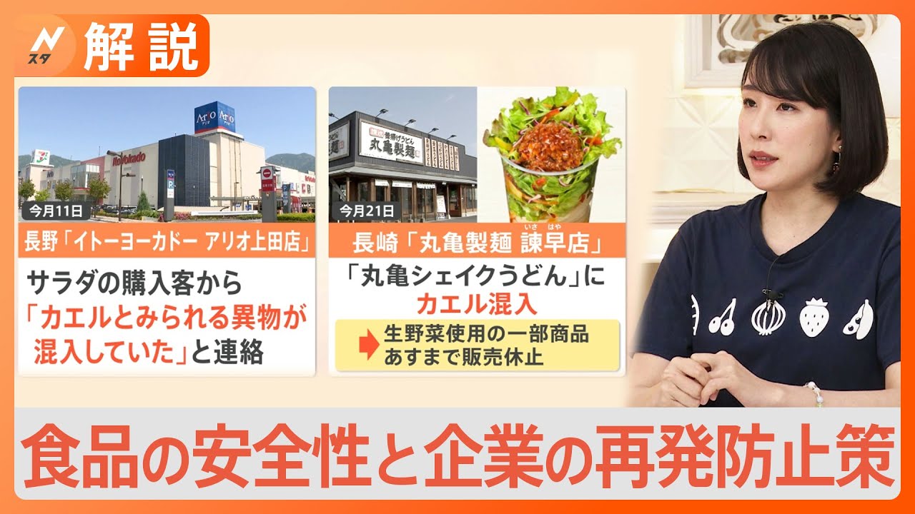 カエル混入相次ぐ　混入した食品の安全性と企業の再発防止策【Nスタ解説】｜TBS NEWS DIG
