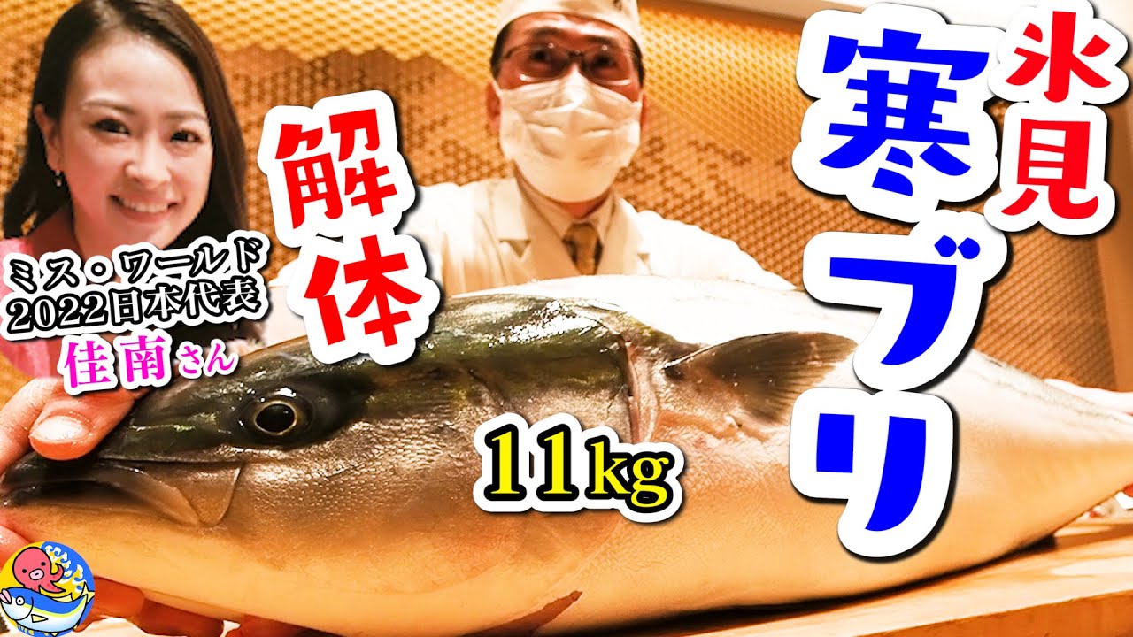 【11kg寒ブリ解体】氷見出身ミス・ワールド2022日本代表の山口佳南さんもビックリ!!【日本橋とやま館】