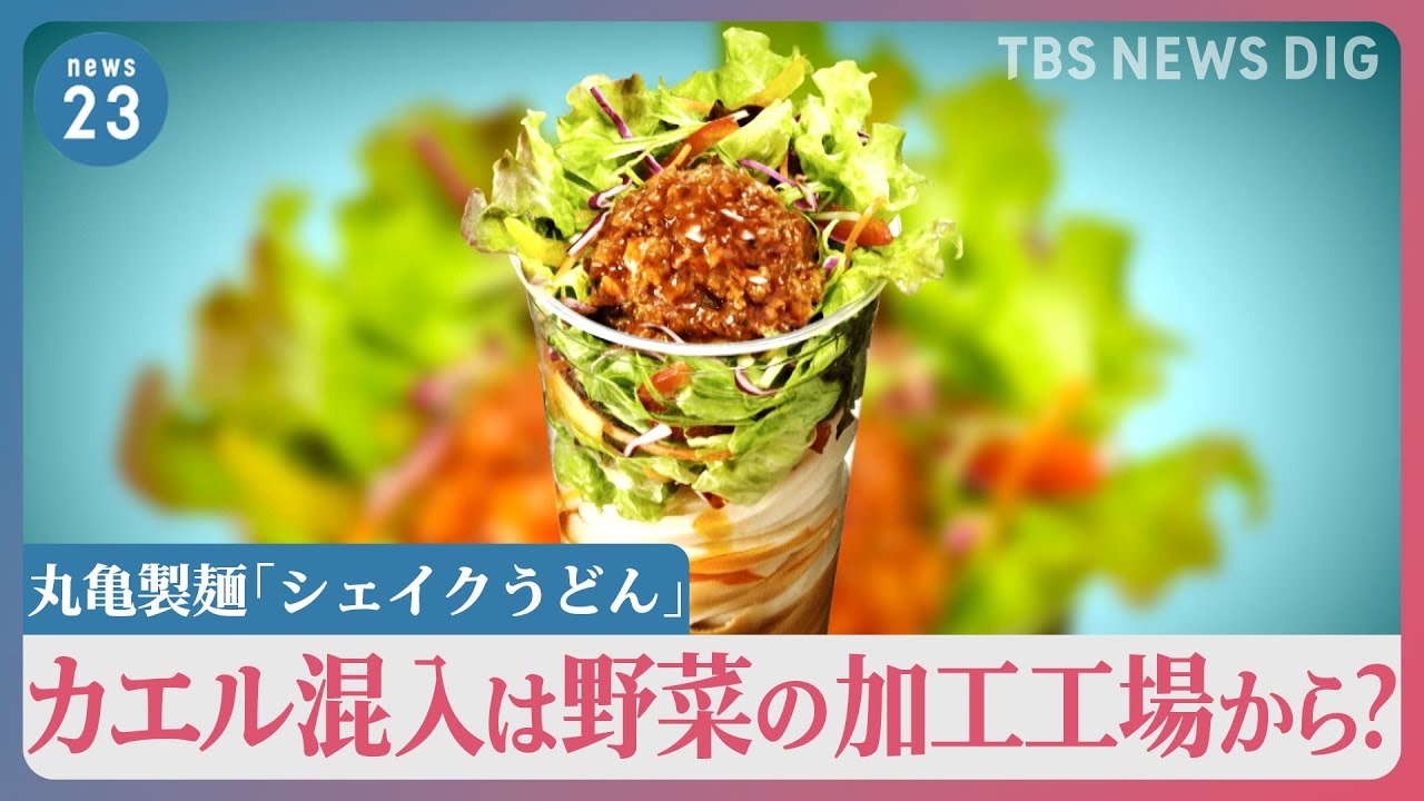 丸亀製麺「シェイクうどん」にカエル混入は野菜の加工工場から？【news23】｜TBS NEWS DIG