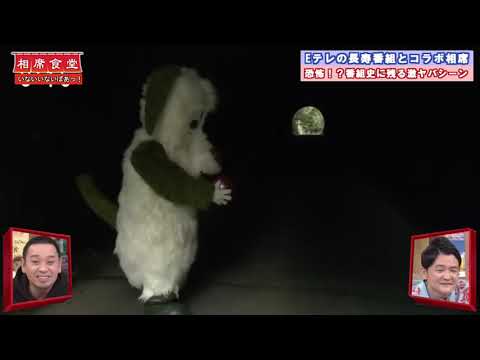 【相席食堂】伝説のトラウマ回のわんわんを見る千鳥