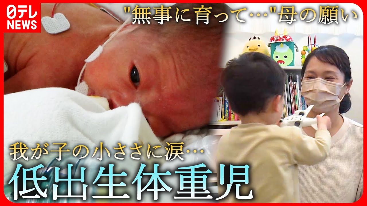 【低体重】943gで生まれ… 成長願う母の思いと"リトルベビー"支援手帳　愛媛　NNNセレクション