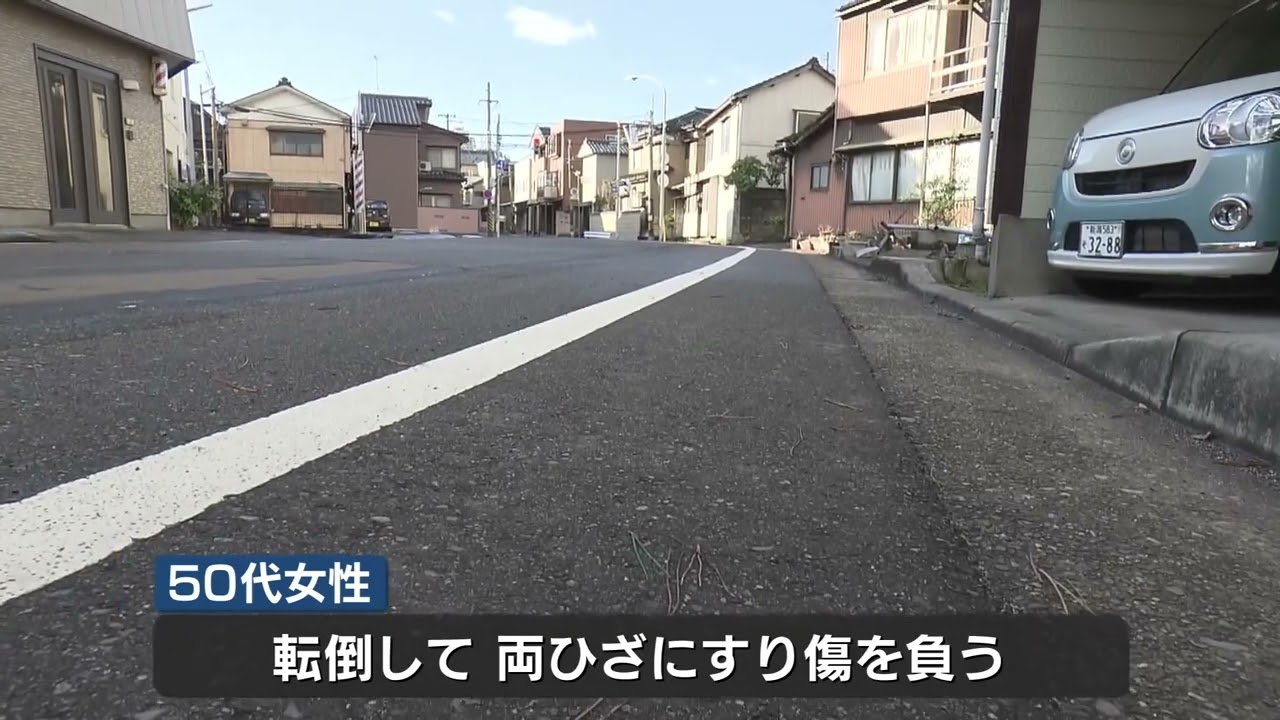 【警戒】イノシシに突進され５０代女性がケガ　新潟市中央区の住宅街で