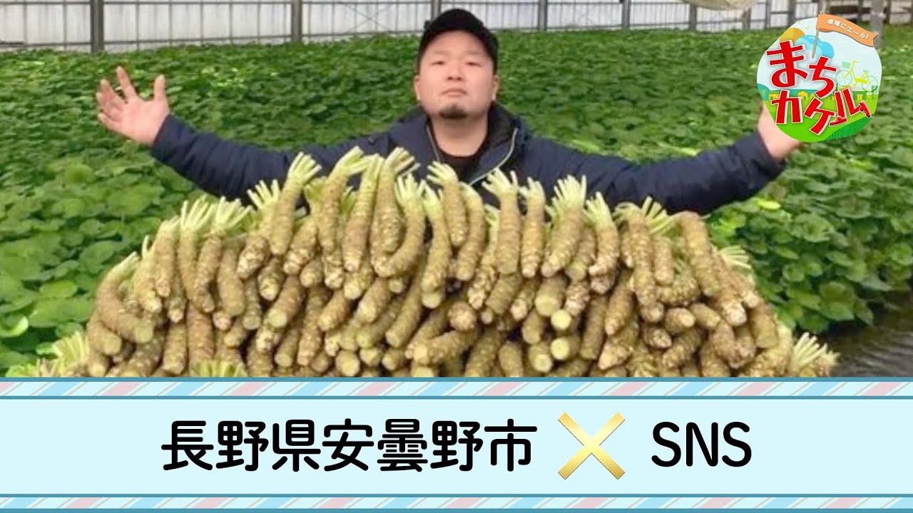 本編　地域にエール！まちカケル【長野県安曇野市×SNS】 | ＢＳテレ東