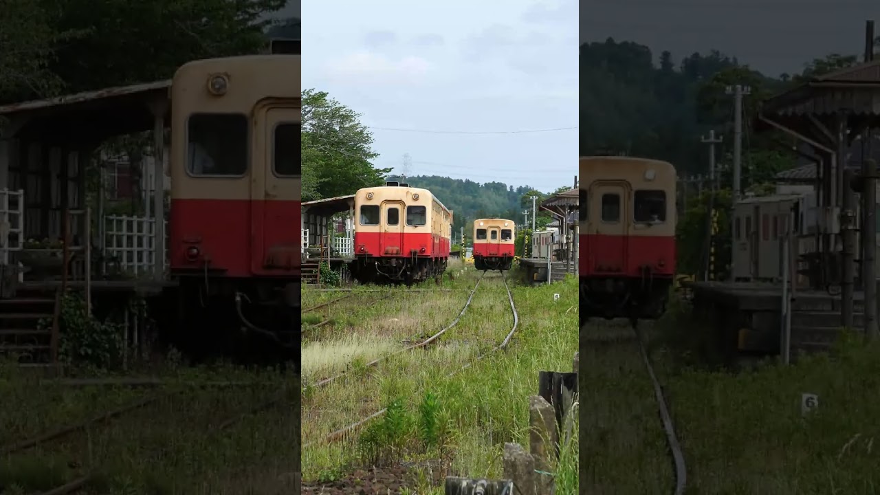 山奥みたい～今日の小湊(5/28)