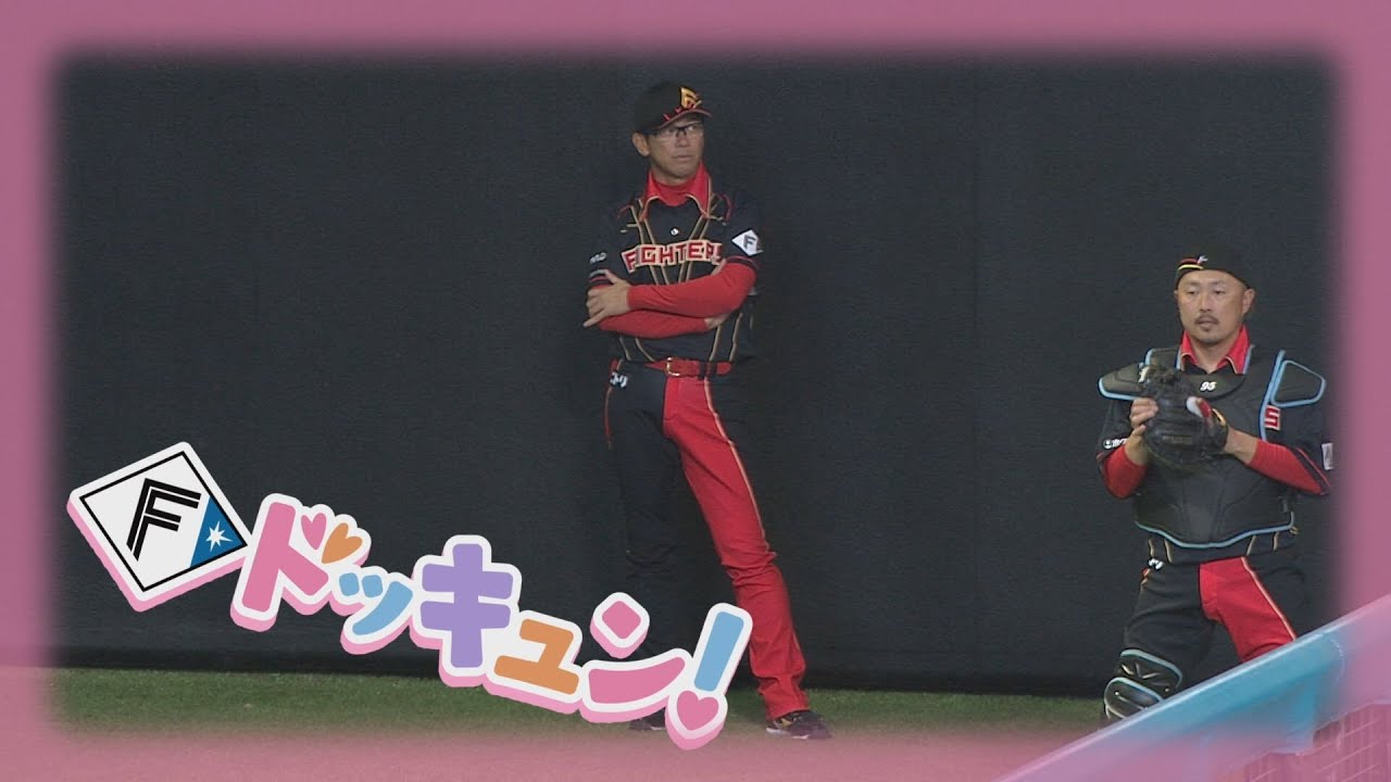 【Bravo!ファイターズ】Fドッキュン!【なが～～～～～いアーチ選手権】