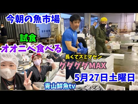 【少ないです】【ビッグカツ試食】【視聴様ご来店】今朝の魚市場5月27日土曜日の水揚げ状況