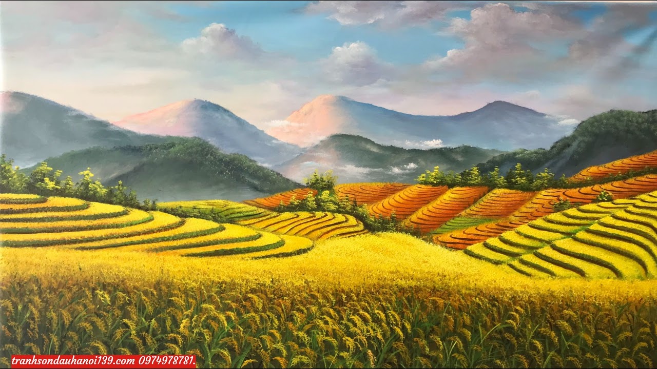 ZIP! 2023年5月30日 LIVE FULL【1080pHD】 New