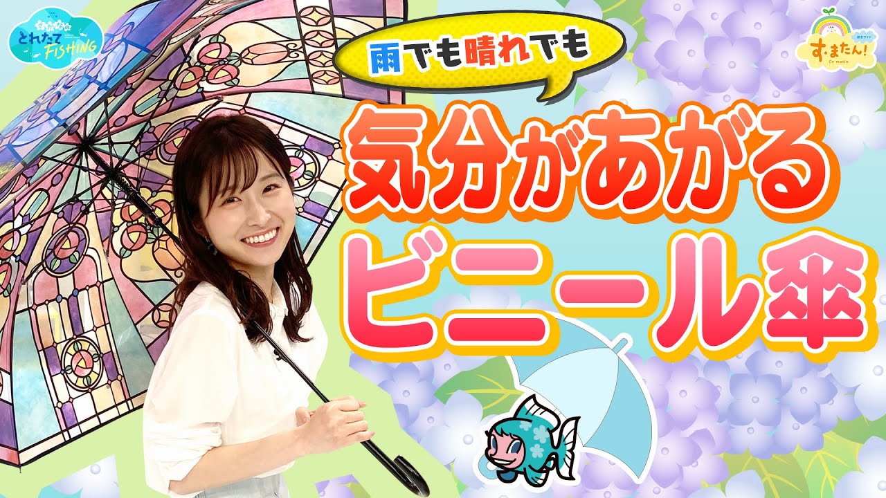 【雨でも晴れでも】気分があがるビニール傘／とれたてFISHING