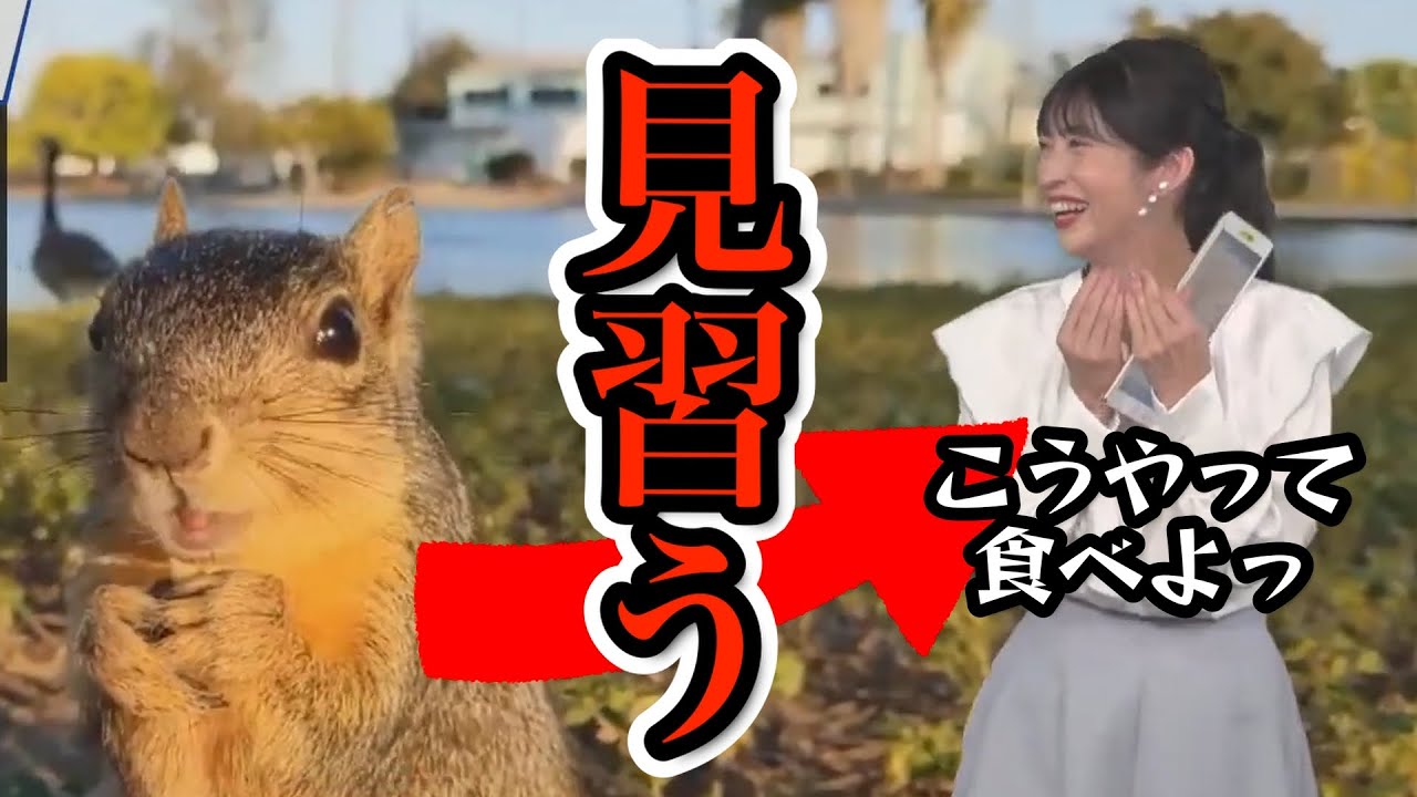 【山岸愛梨】お天気キャスターとしても女性としての可愛さ磨くためにも、動物たちの仕草から学ぼうとするお天気お姉さんに癒される【ウェザーニュース切り抜き】