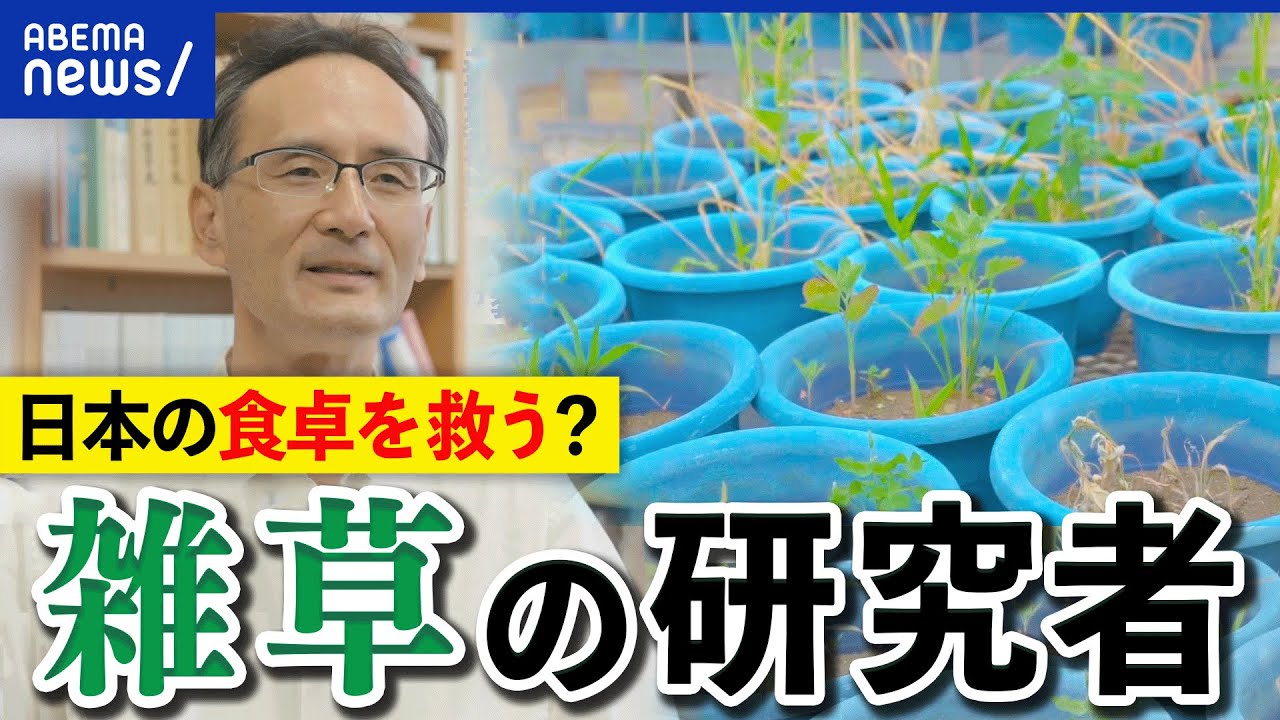 【雑草研究者】人類のためになる？多様性のある植物？社会のために？イグノーベル賞教授と考える｜アベプラ