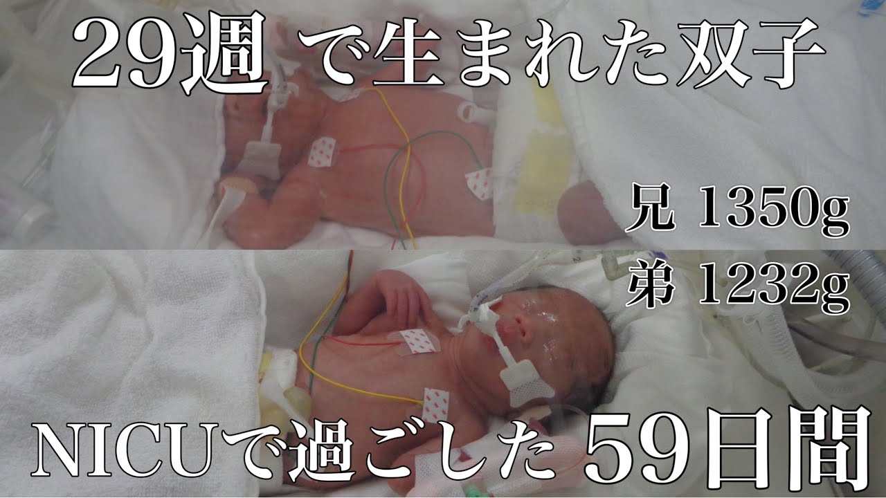 【NICU/極低出生体重児】29週で生まれた双子のNICU入院記録
