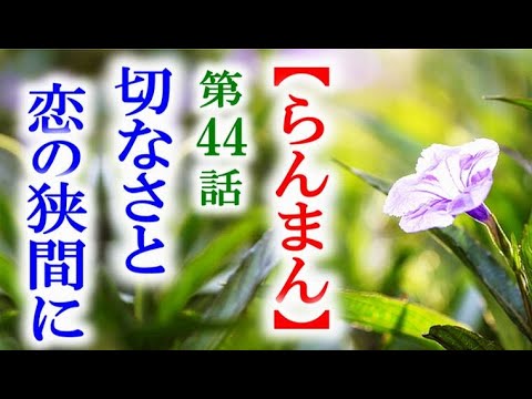 【らんまん】朝ドラ 第44話 ドレス姿の寿恵子に驚く万太郎の心に…連続テレビ小説第43話感想