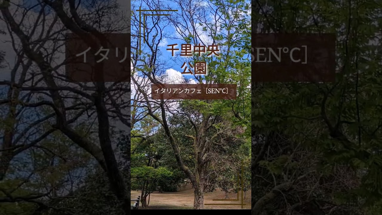 【至福の時間】2023年3月30日(木) NEW OPENしたので、休日いそいで行ってみた #パン食べ放題