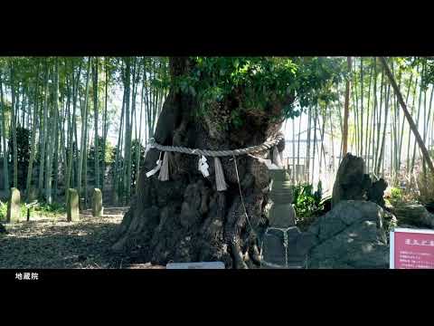 赤山アート散歩_オープニング動画