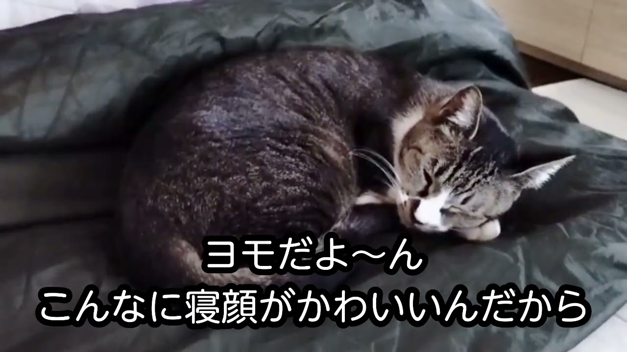すごく簡単な答え