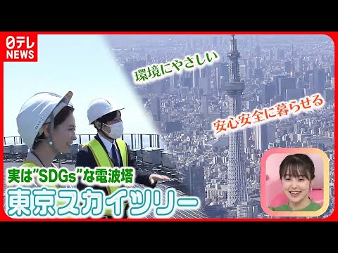 【環境に優しい取り組み】実は”SDGs”な電波塔  東京スカイツリー