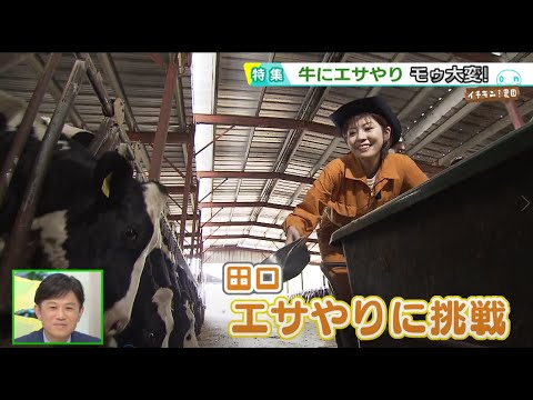 イチモニ農園2023②～乳牛のエサの秘密に田口アナが迫る～