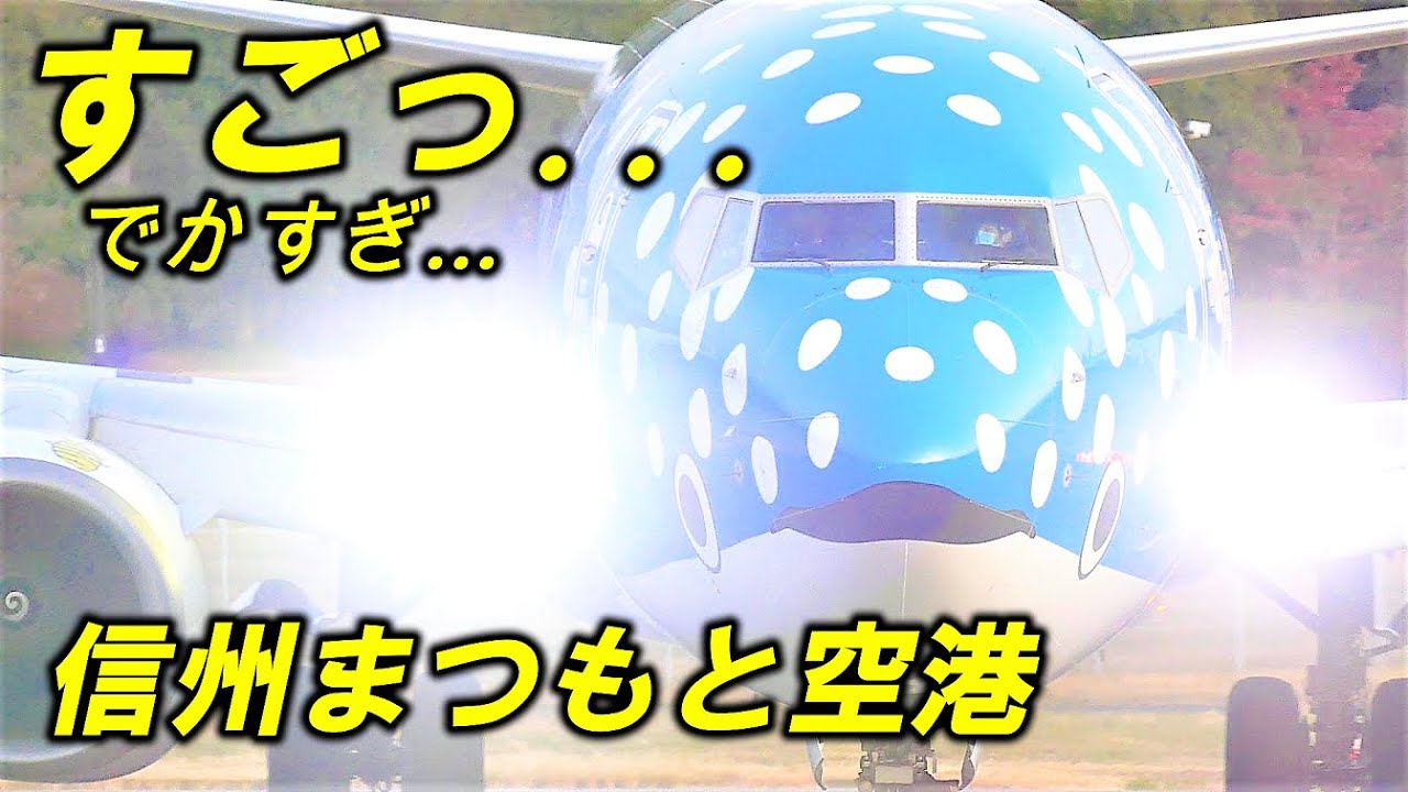 JTA 大迫力!! ボーイング737がデカすぎた!! 信州まつもと空港