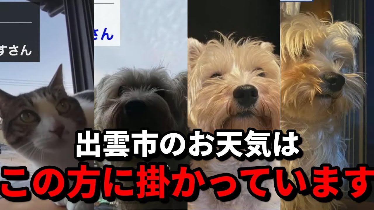 出雲ニキとお天気お姉さん【檜山沙耶】