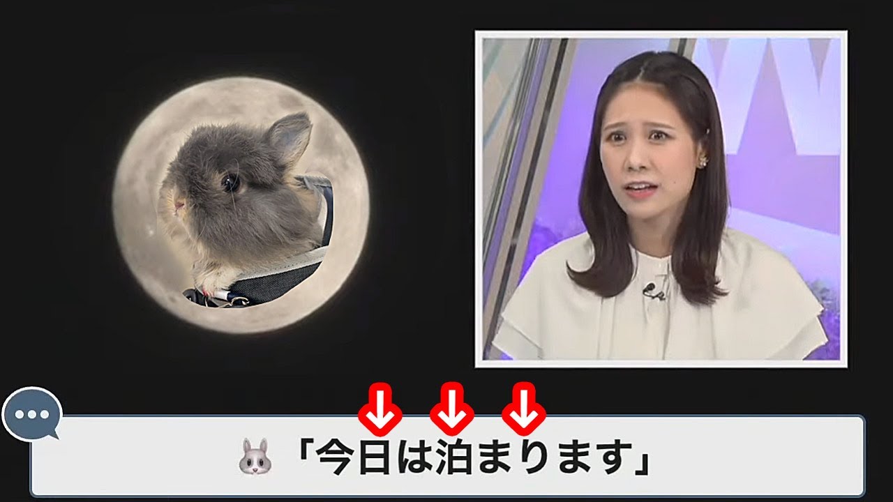 【戸北美月】満月と言う事でお月様へ出張中のわたげさんから泊ると言うコメントが届き寂しがるお天気お姉さん