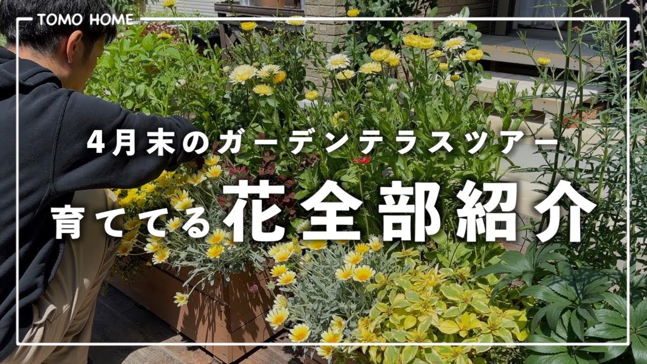 【病害虫】育てづらかった花・良かった花・処分した花【全部紹介】