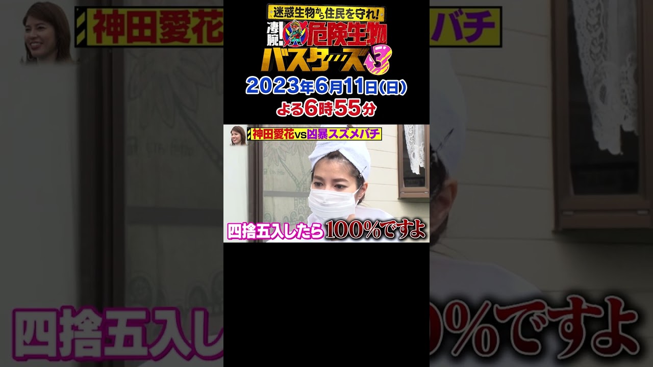 「迷惑生物から住民を守れ！凄腕！危険生物バスターズ２」　フリーアナウンサー・神田愛花がハチ駆除に初挑戦！！　#神田愛花 #危険生物 #スズメバチ #駆除 #テレビ東京