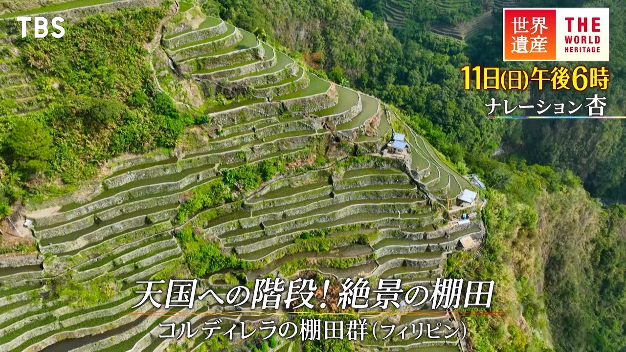 『世界遺産』6/11(日) コルディレラの棚田群 〜 天国への階段！絶景の棚田【TBS】
