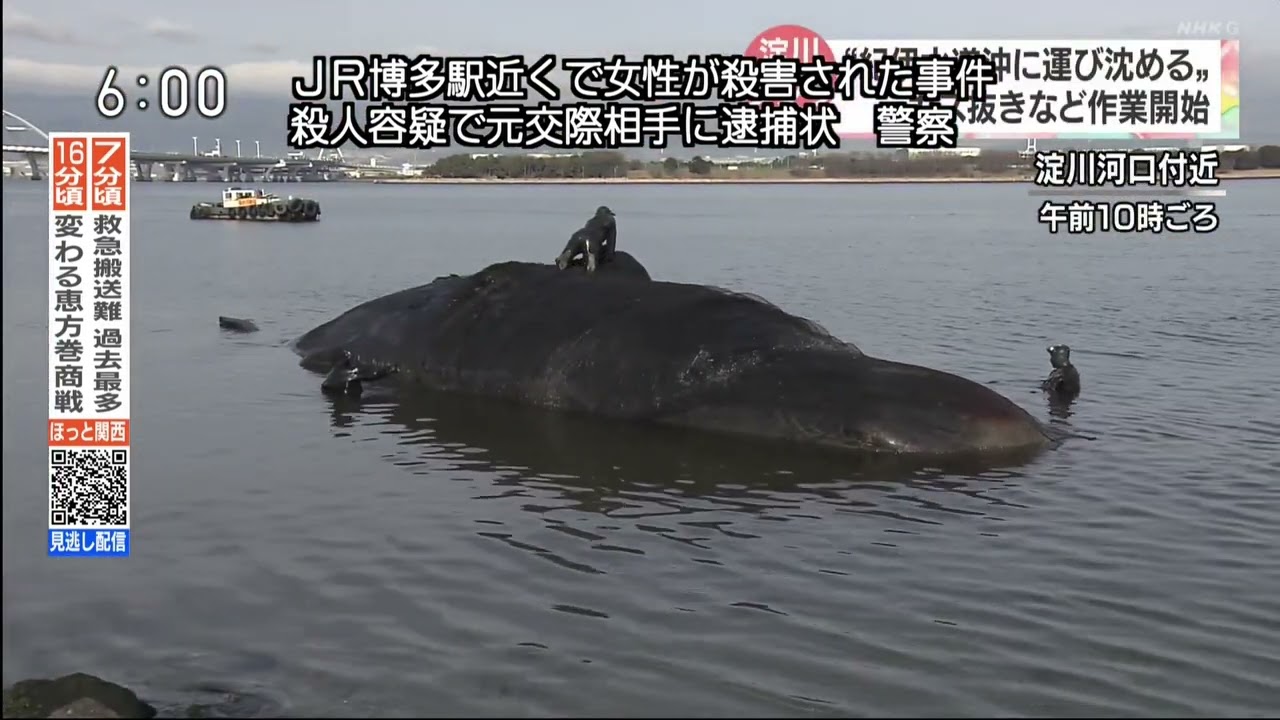 NHK NEWS HOT KANSAI Intro 2023/01/18