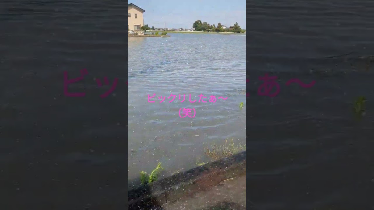 令和5年6月3日（土曜日）#大雨が残していった爪痕#埼玉県春日部市