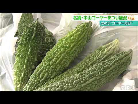 5月8日はゴーヤーの日　4年ぶりに中山ゴーヤーまつりが開催