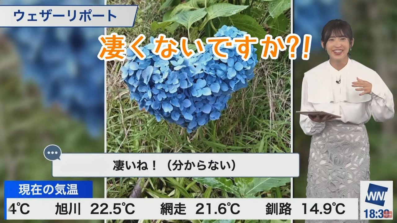 【山岸愛梨】ポケモンのゲームを熱く語るものの視聴者には全然伝わらなかったあいりん【ウェザーニュース】