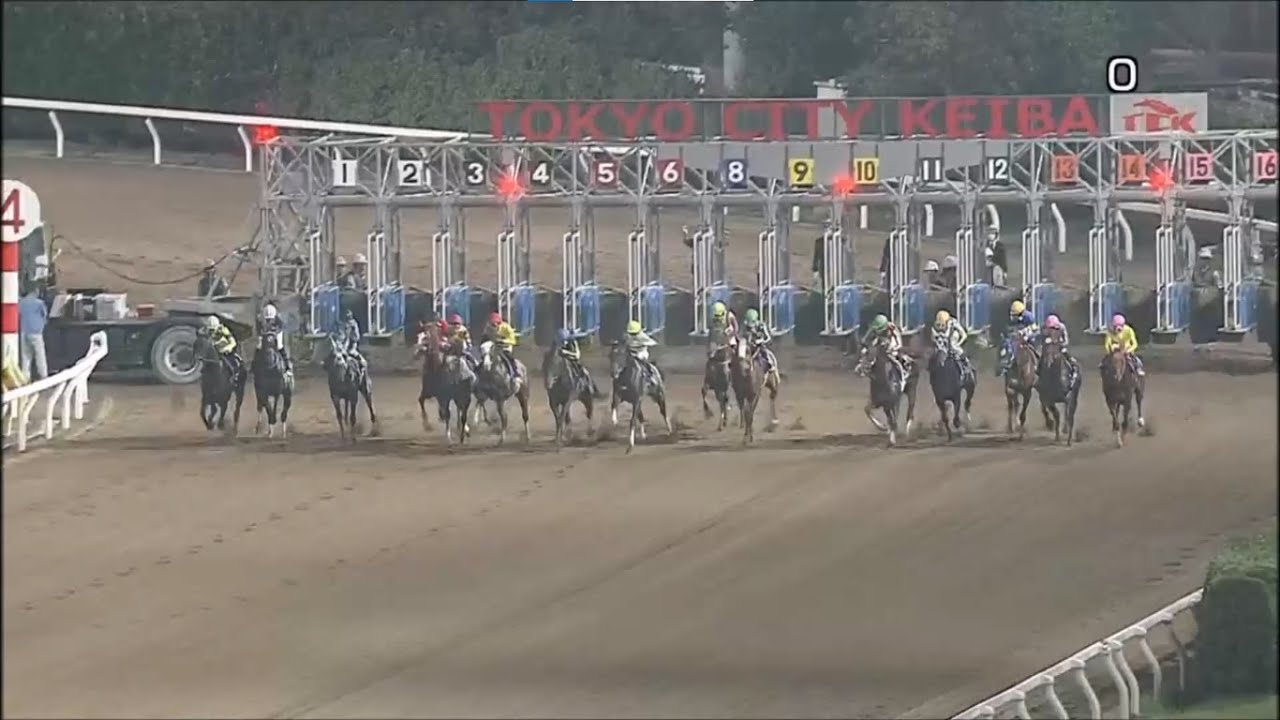 【競馬】大井・東京ダービー 2023　⑫ミックファイア