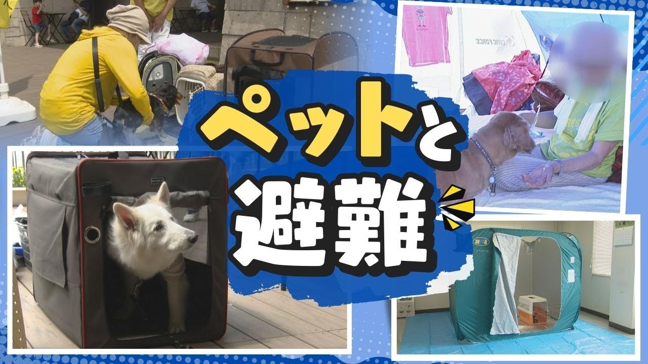 鳴き声やにおいが心配？災害でためらわずにペットと一緒に避難する“コツ”