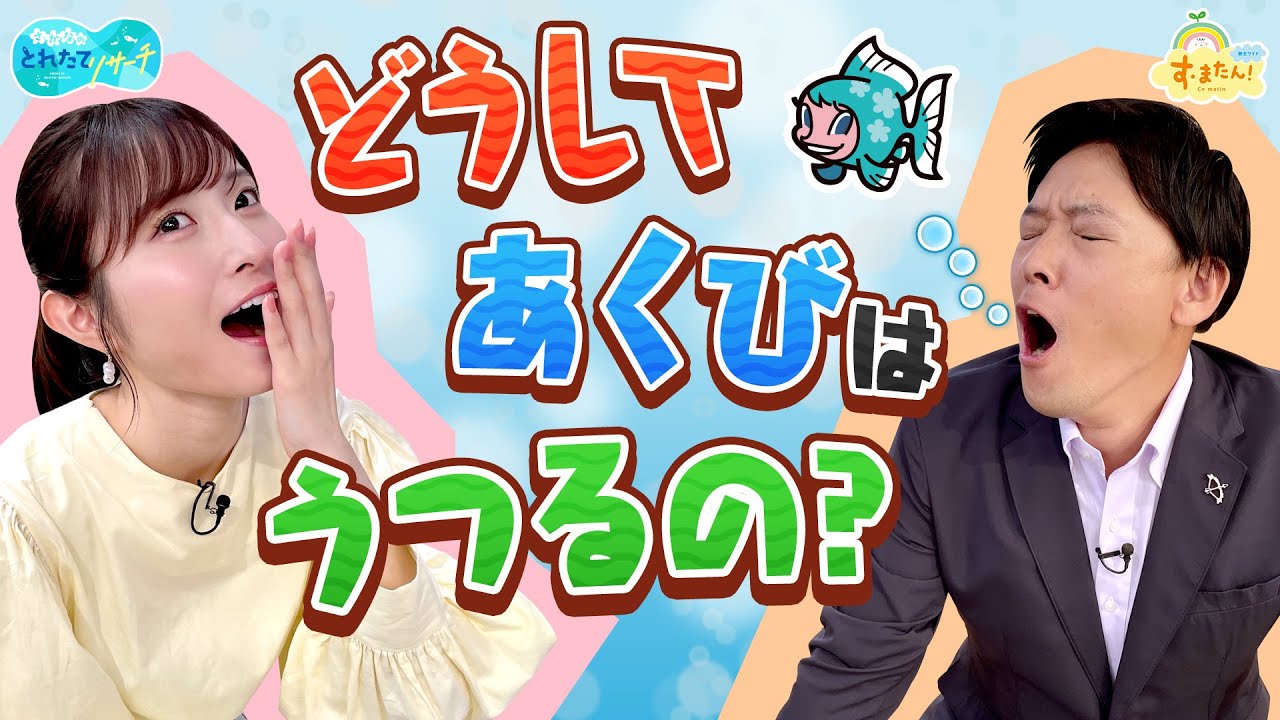 どうして【あくび】はうつるの？／とれたてリサーチ