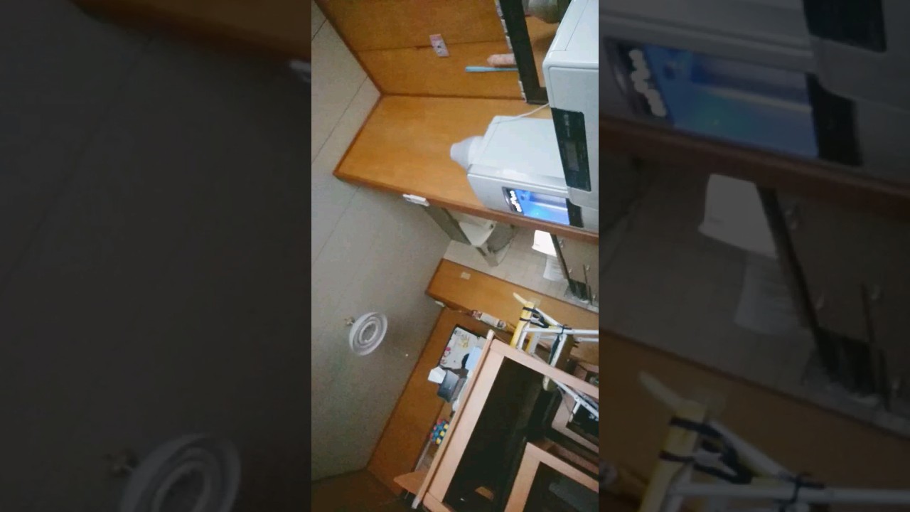 ばばたいすき