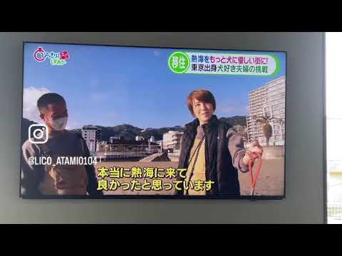 熱海ペットホテル＆ドッグランLICO とびっきりしずおか
