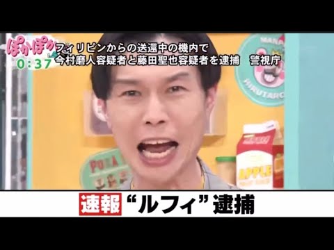 ルフィ逮捕