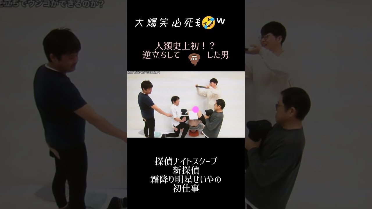 #探偵ナイトスクープ#霜降り明星せいや#うん〇#松本人志#増田沙織#アルディ