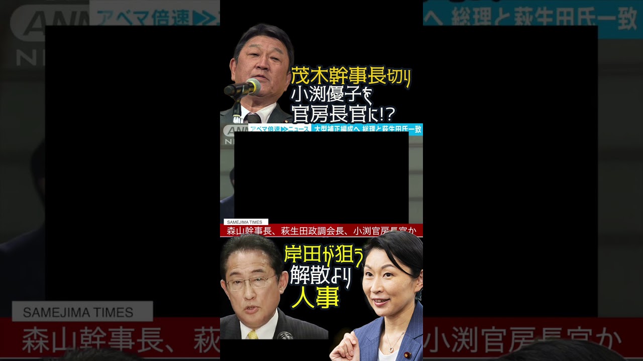 @samejimatimes 茂木幹事長を切り小渕優子を官房長官に!?