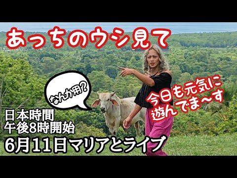 6月11日マリアとライブ　フィリピン・パラワン島から