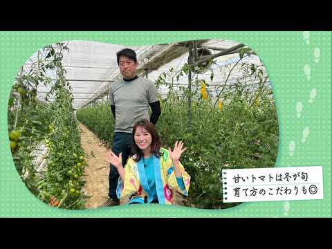 【シェア旅】#120　山崎アナ　ハイテクハウスで育てる”冬が旬のトマト”（2023/4/14）