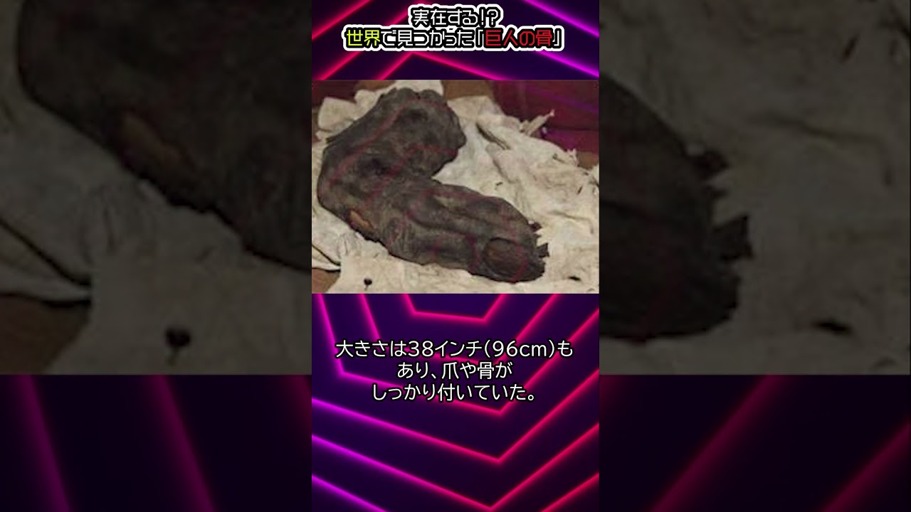実在する？世界で見つかった巨人の骨#都市伝説#予言#宇宙#shorts