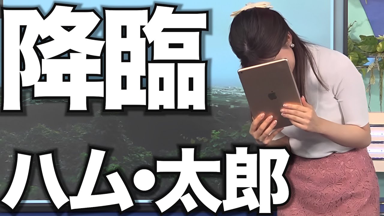 「ハム太郎＋小林李衣奈キャスター」→「ツボってしまう」