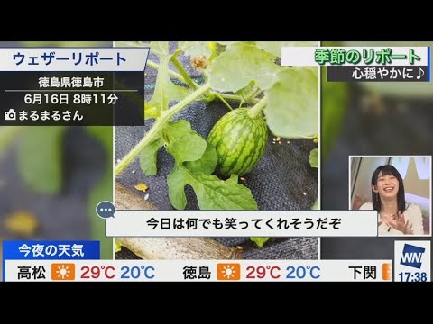 檜山沙耶　【おさやの良さが出た神回】おさやが壊れるまでの一部始終😂2023.6.16 イブニング