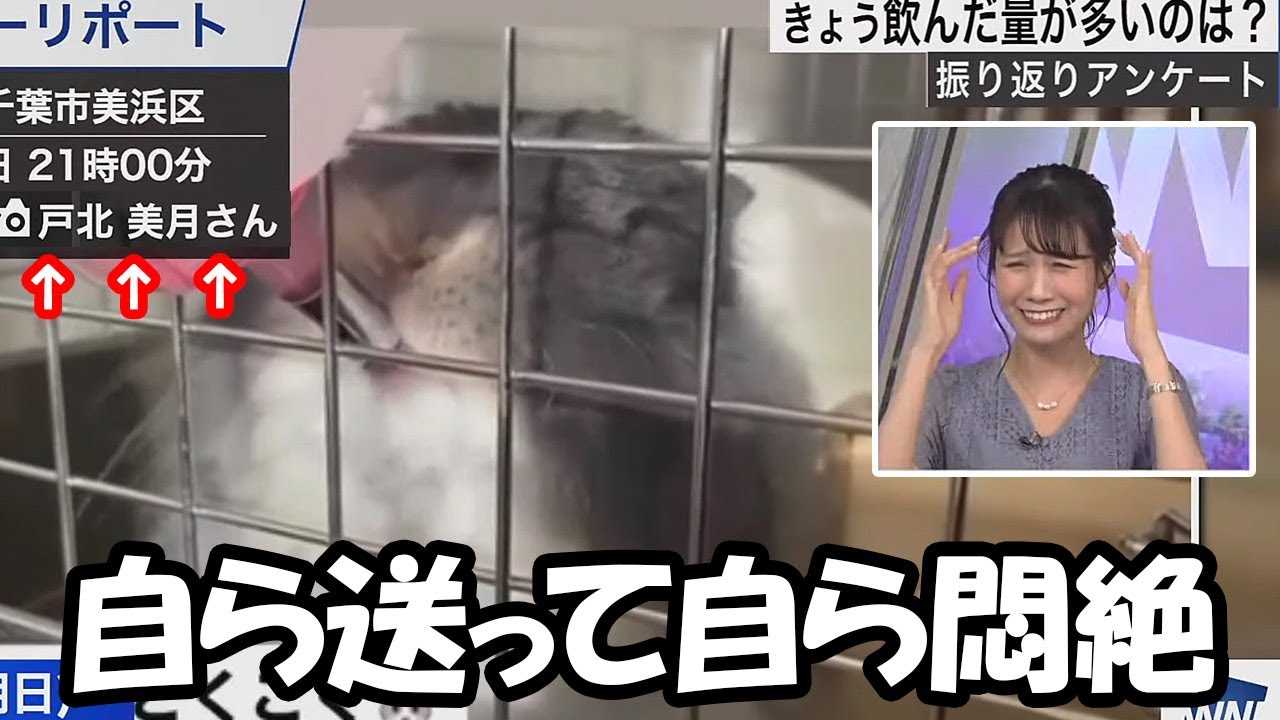 【戸北美月】わたげさんを自ら投稿して悶絶を繰り返すお天気お姉さん（前にも同じ事がありました）
