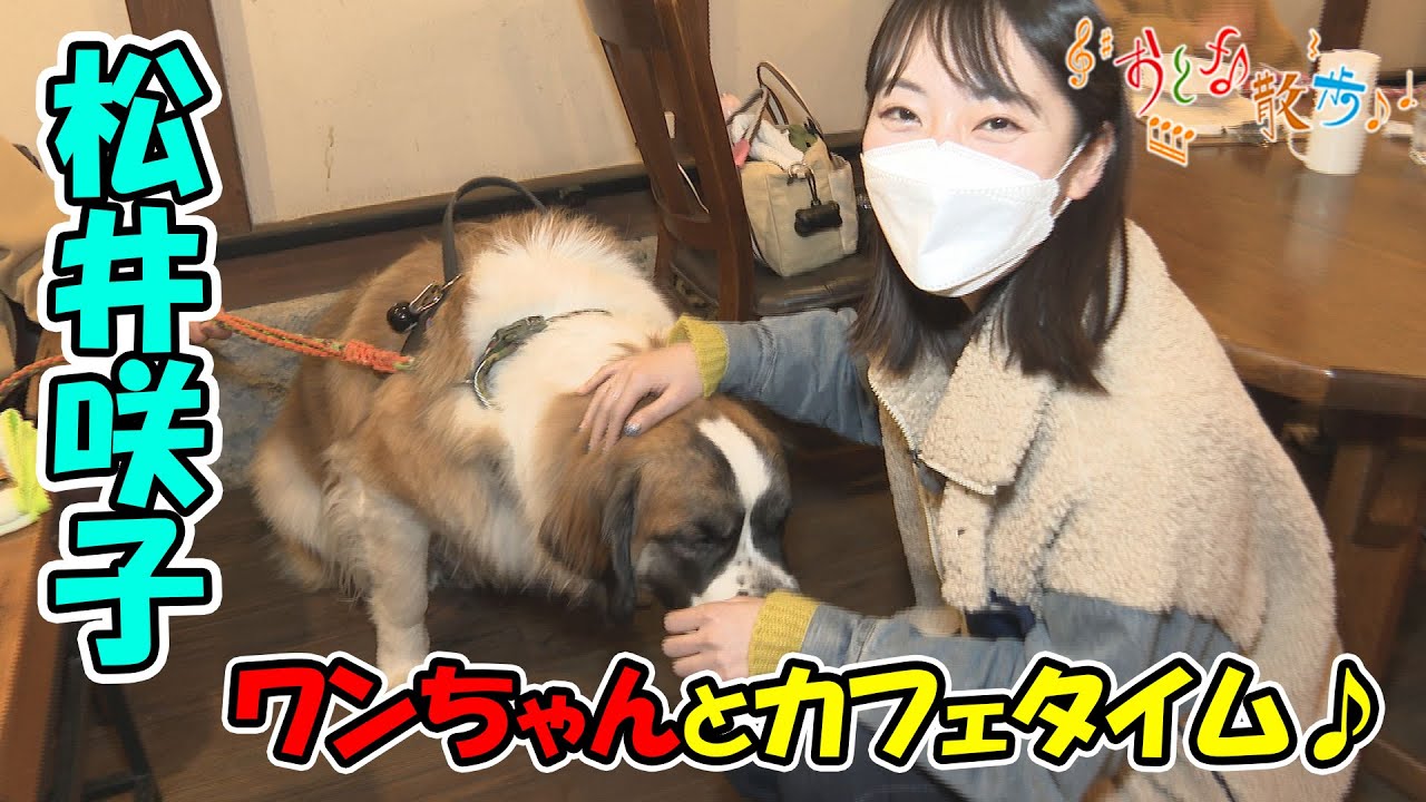 松井咲子がワンちゃんとカフェタイム♪犬に囲まれてグルメを楽しむ【おとな散歩】